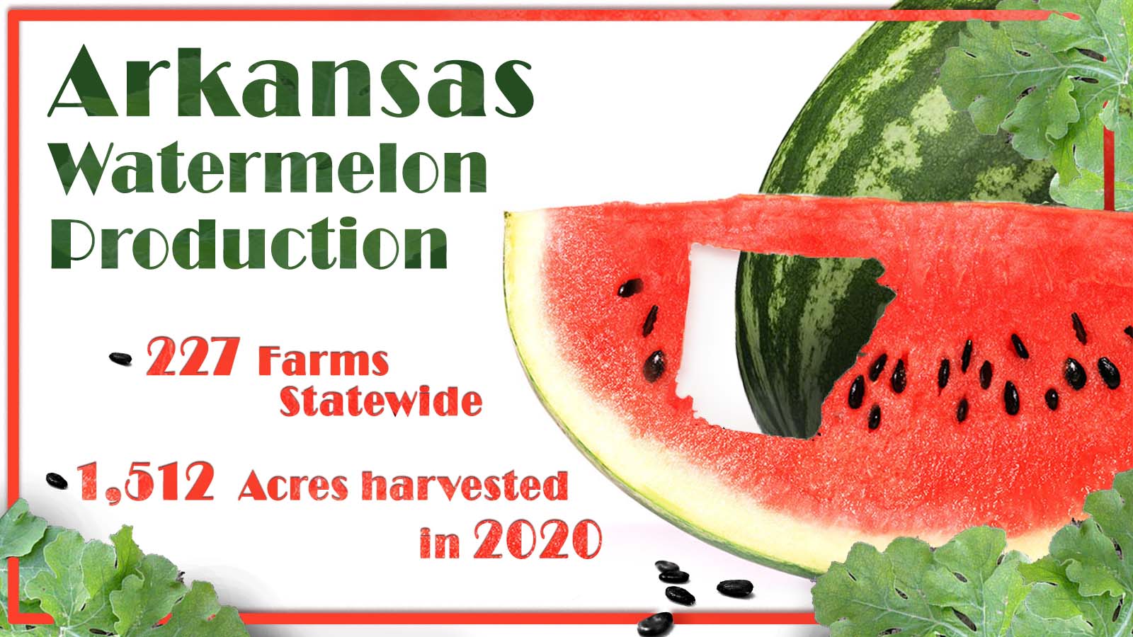 2021_Watermelon copy.jpg