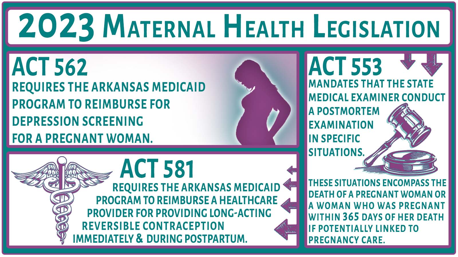 2023 Maternal Health Lesgislation.jpg