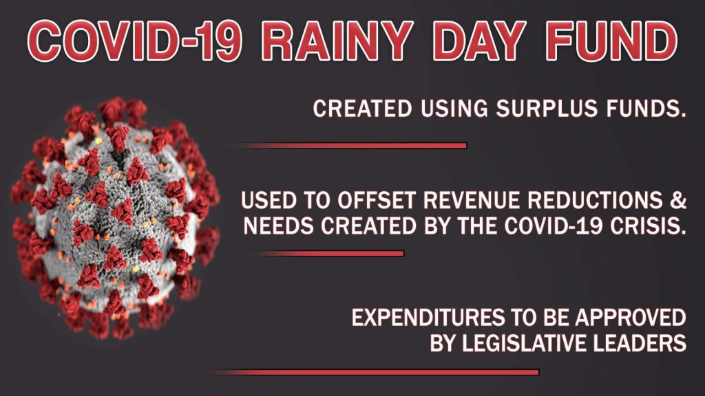 Covid-19 header_Rainy Day Fund.jpg