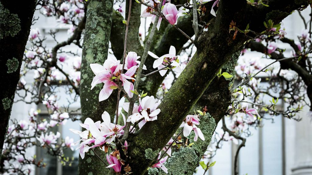 Daily Summary.jpg