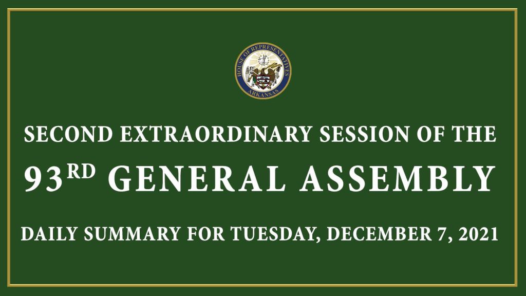 Daily Summary Template_Second Extraordinary Session of the 93rd General Assembly copy.jpg