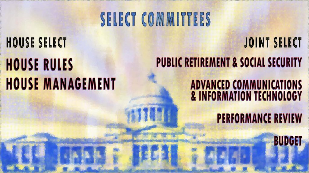 Select Committees graphic.jpg