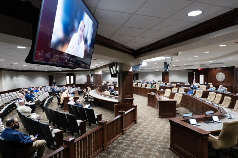 Interim Committees Continue Their Work